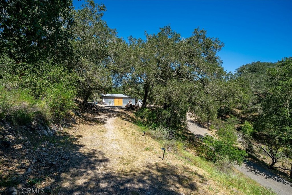 9954 Wildflower Road