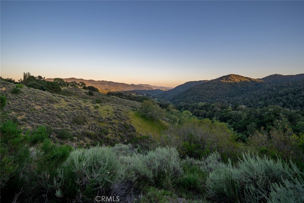 9954 Wildflower Road