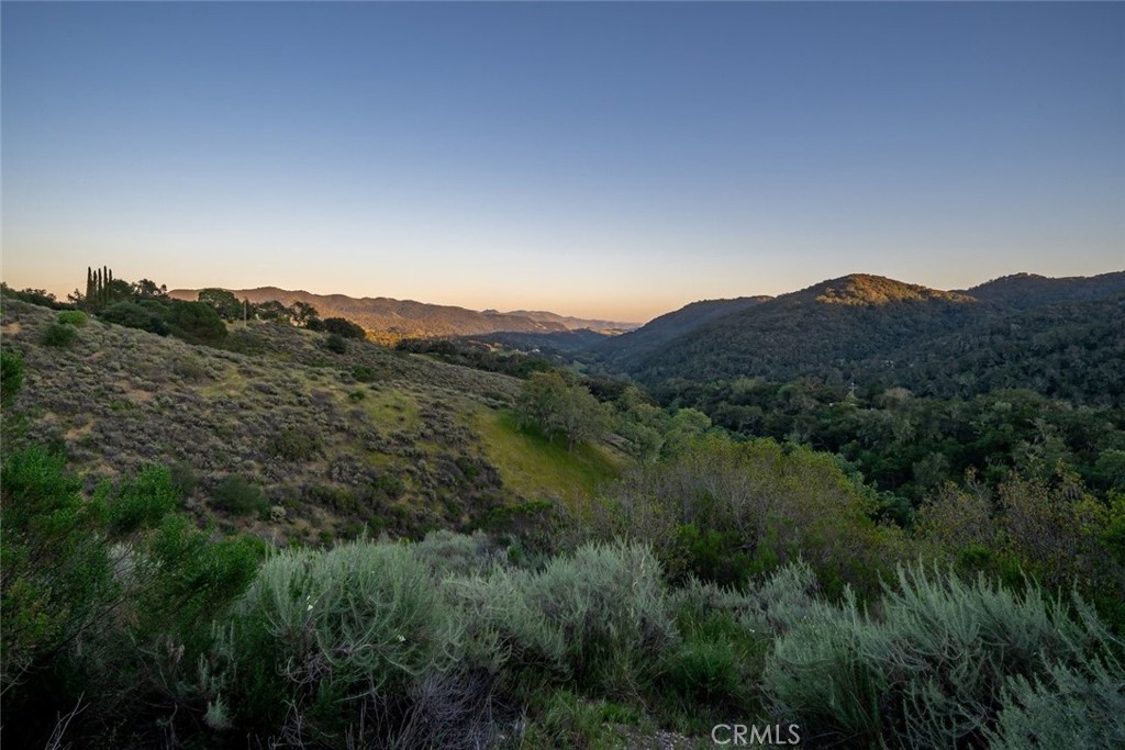 9954 Wildflower Road