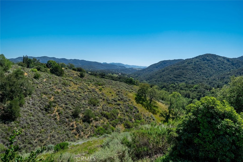9954 Wildflower Road