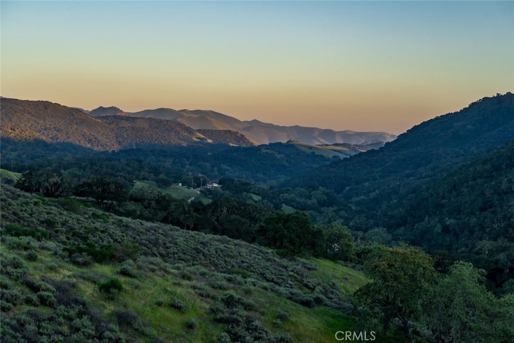 9954 Wildflower Road