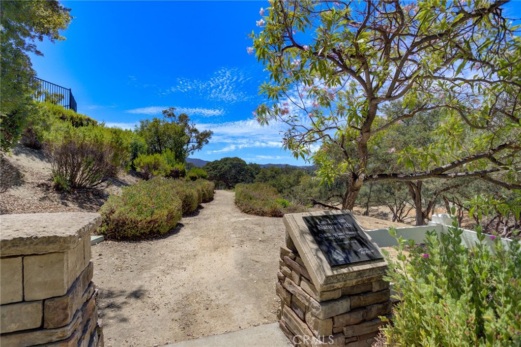 11250 Avion