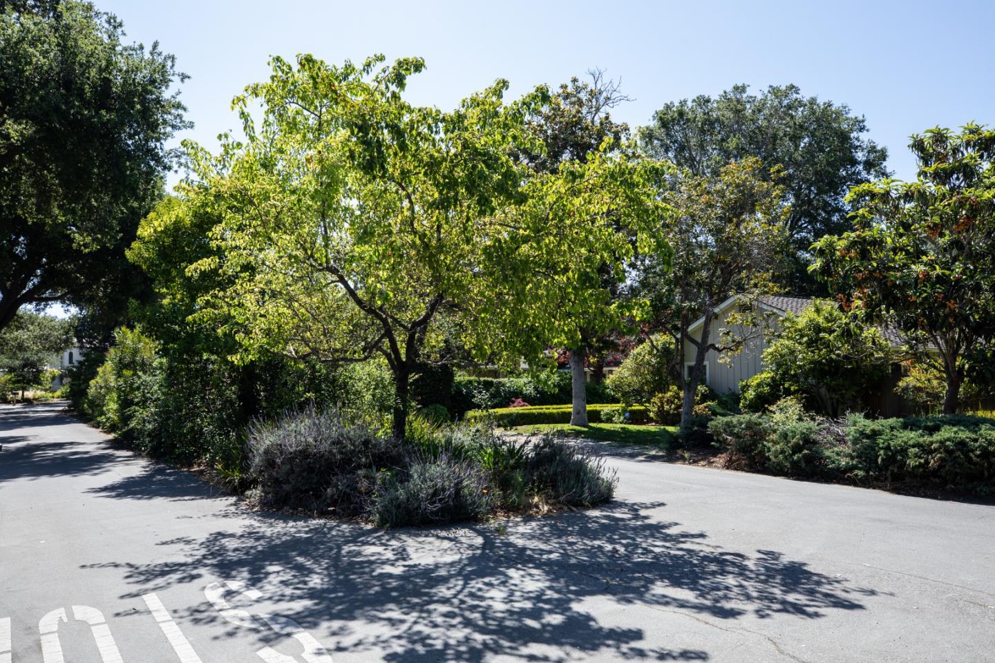 225 Live Oak LN