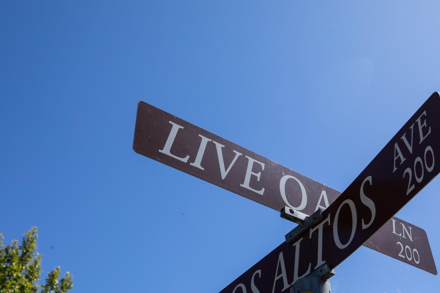 225 Live Oak LN