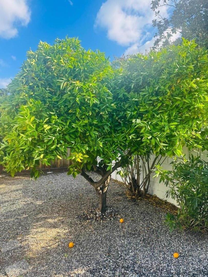 1102 Blue Lake Square