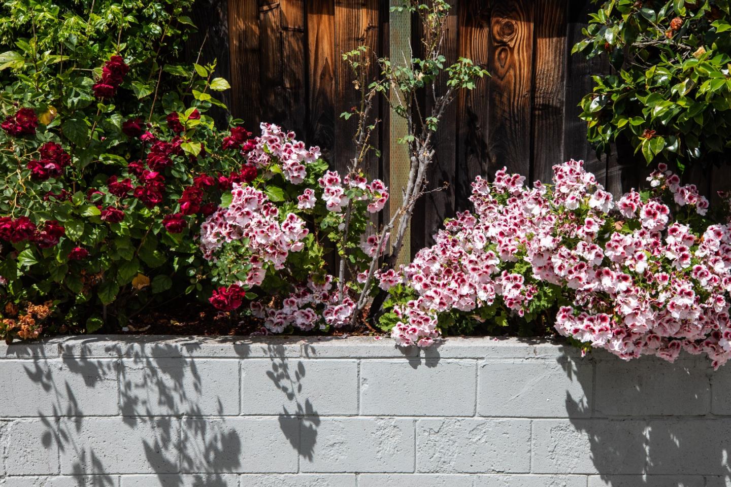 1802 Alameda De Las Pulgas