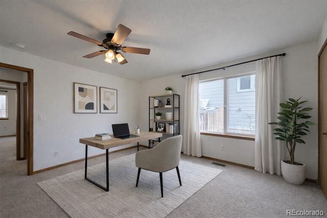2312 Moss Rose Lane