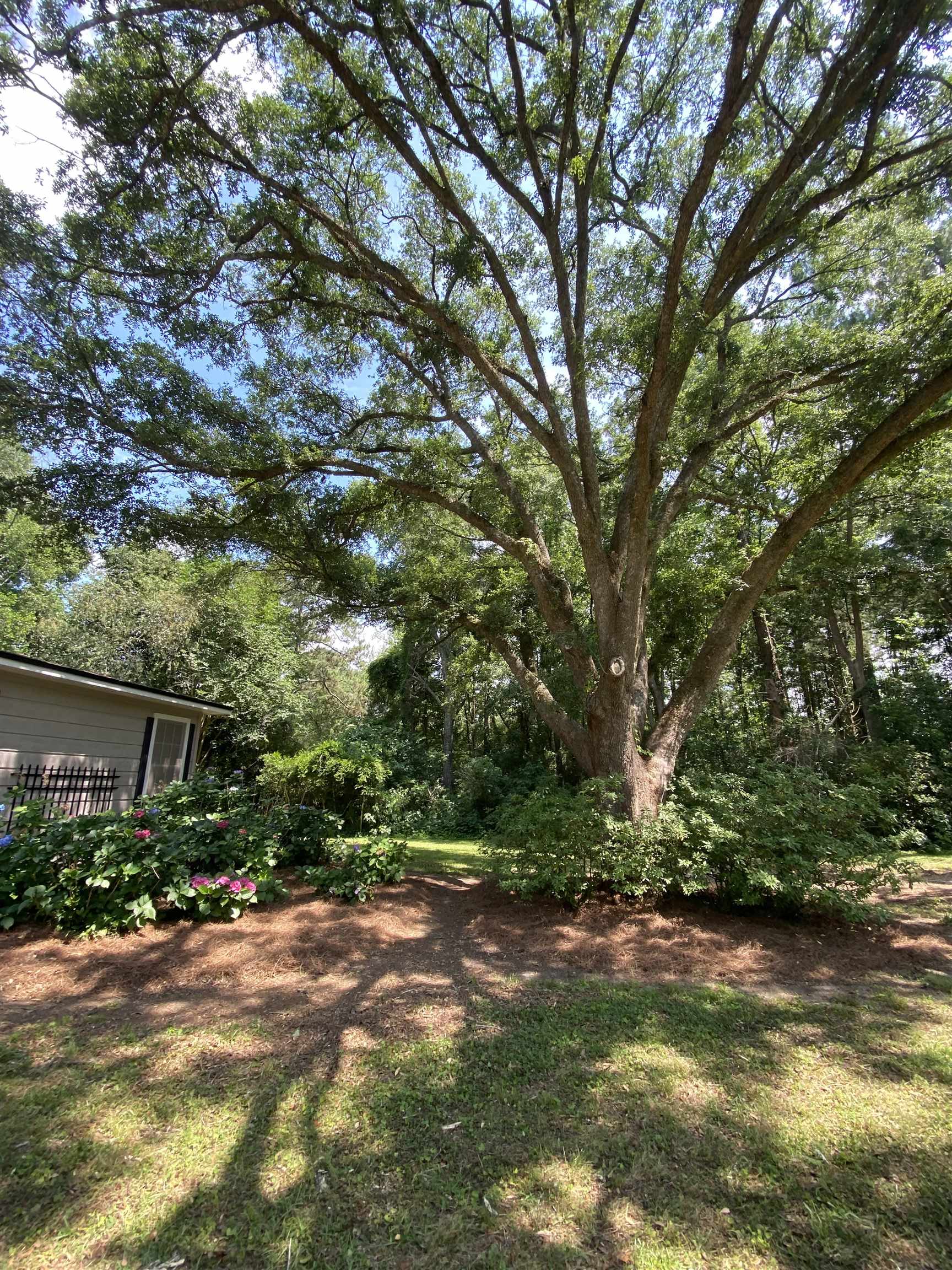 4979 Charles Samuel Drive