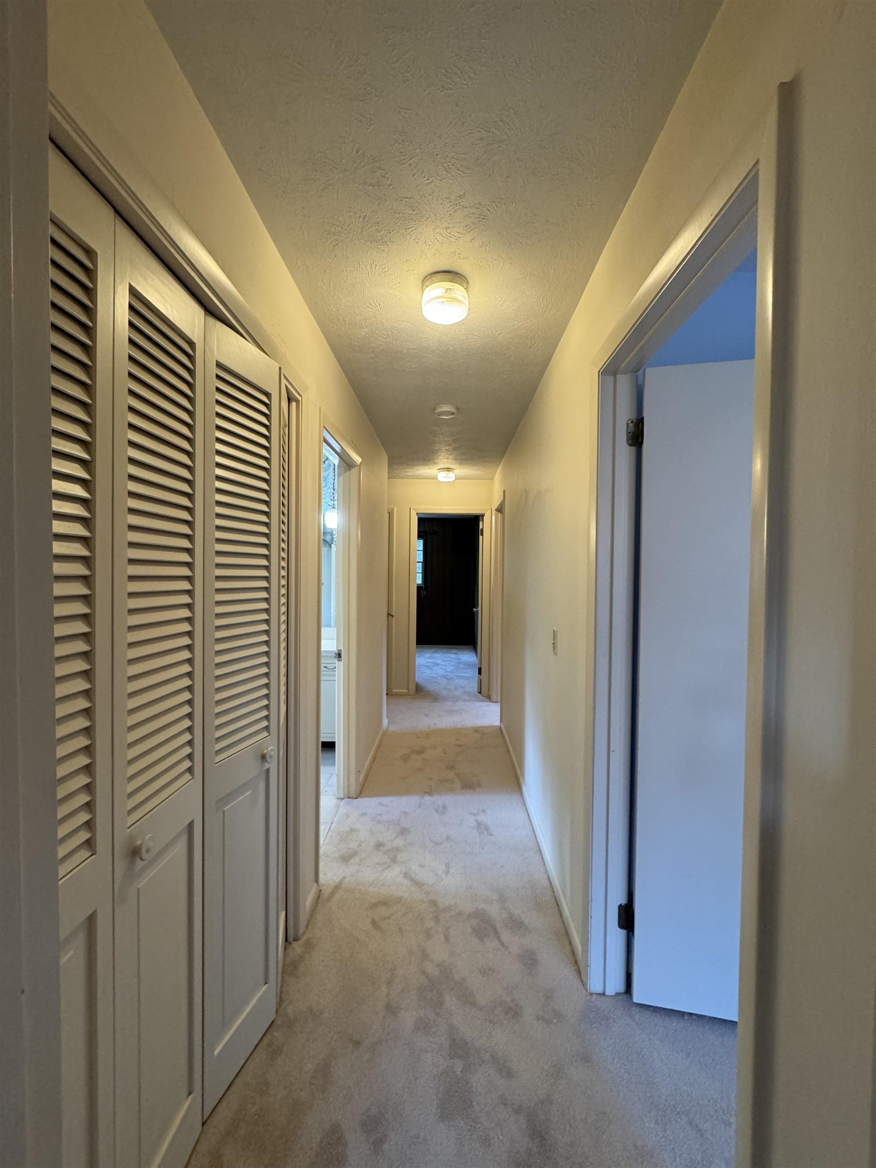 2828 N Shamrock Street