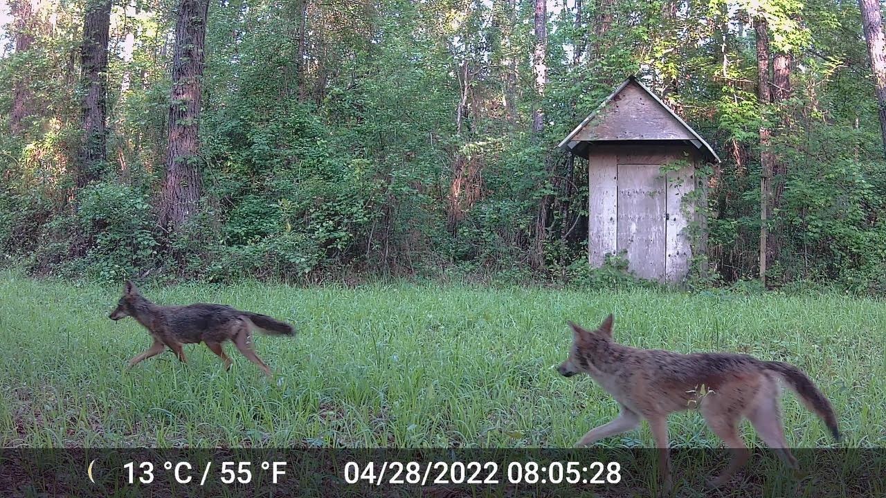 11274 & 11280 Old Federal Road