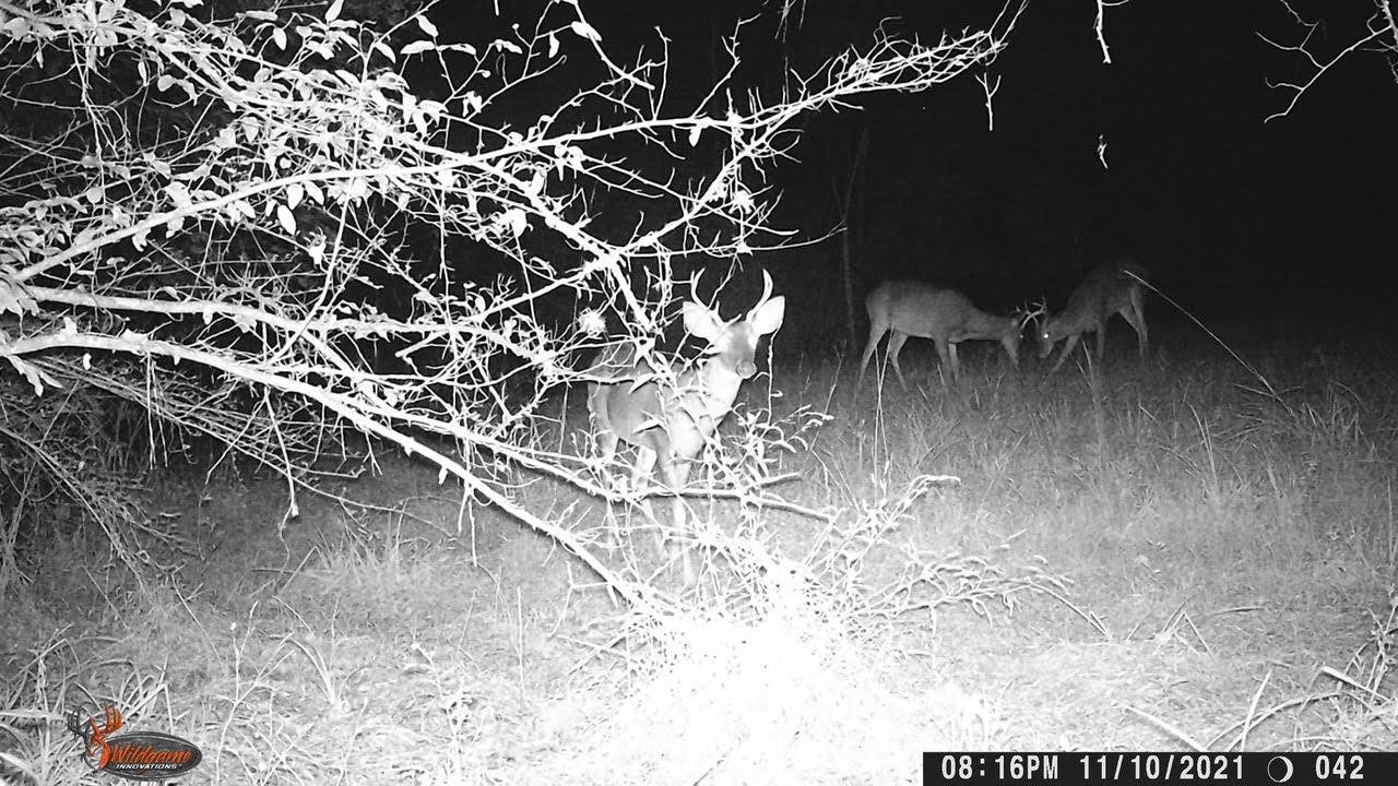 11274 & 11280 Old Federal Road