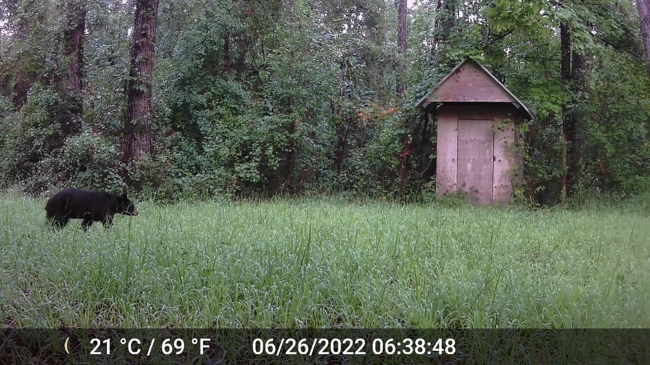 11274 & 11280 Old Federal Road