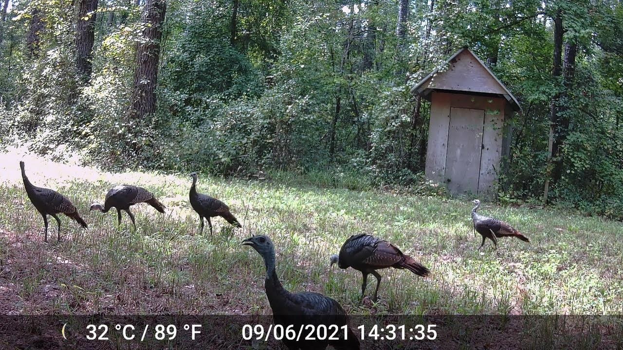 11274 & 11280 Old Federal Road