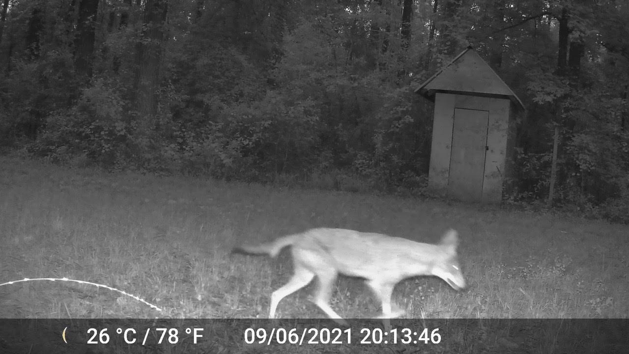 11274 & 11280 Old Federal Road