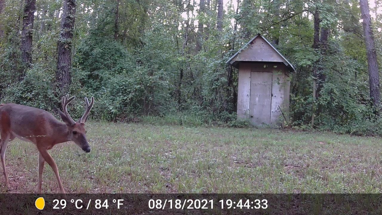 11274 & 11280 Old Federal Road