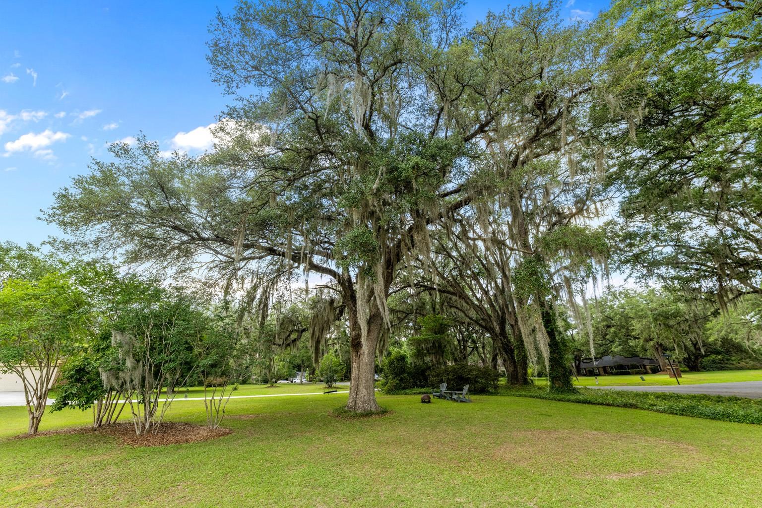 2400 Napoleon Bonaparte Drive