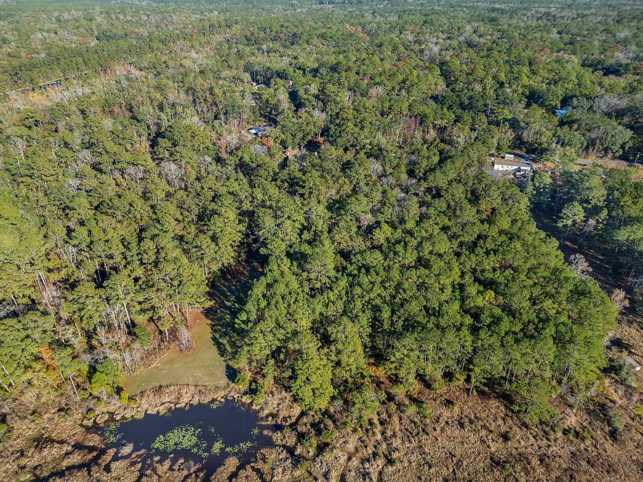 285 Mallard Lane