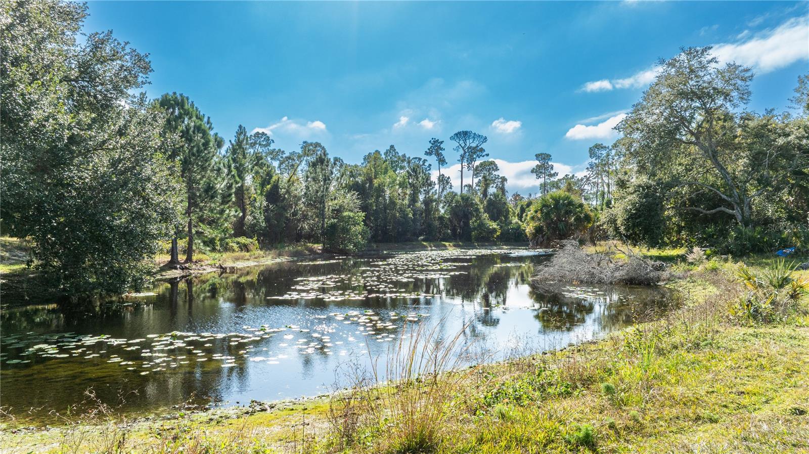 7970 BANNON FISH CAMP RD