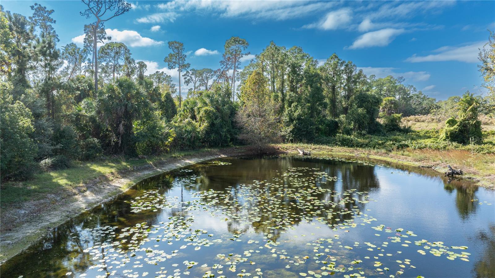 7970 BANNON FISH CAMP RD