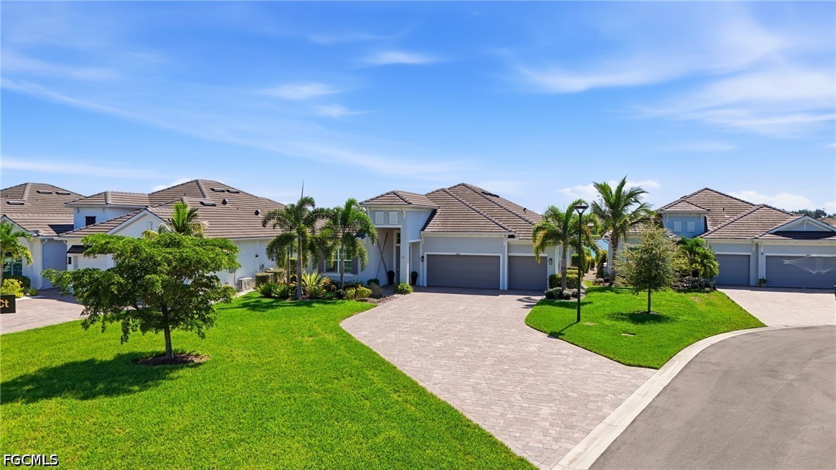 14009 Indigo Blue CT