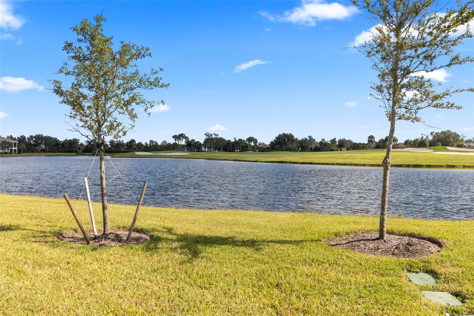 14072 BLACK BEAUTY DR #1311