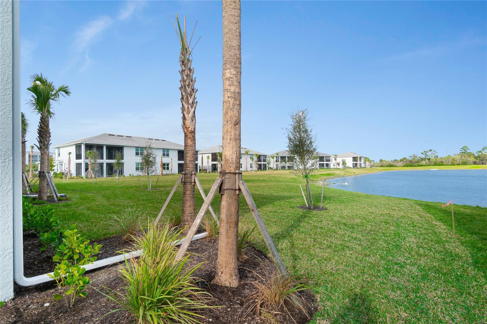 14156 POPPY FIELD LOOP #4412