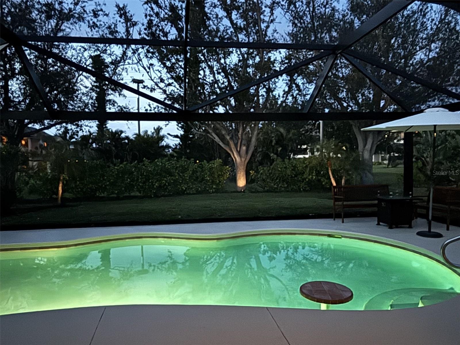 17875 COURTSIDE LANDINGS CIR