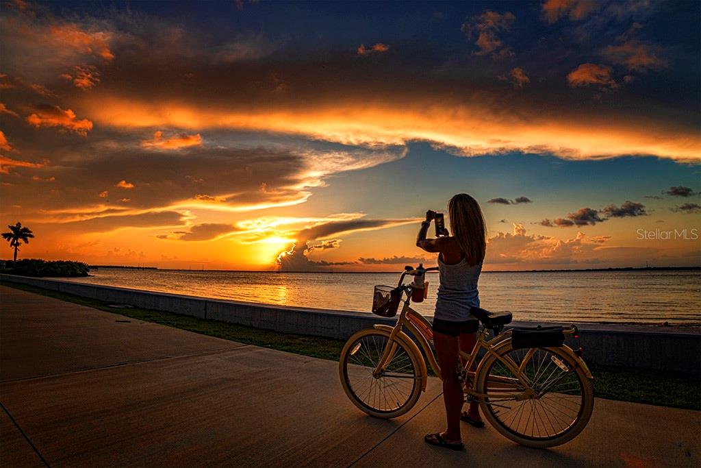 3972 LA COSTA ISLAND CT