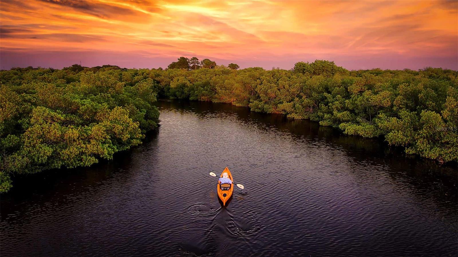 3972 LA COSTA ISLAND CT