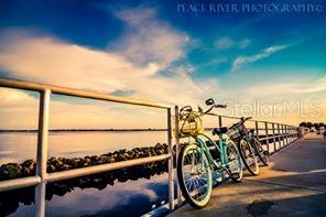 3972 LA COSTA ISLAND CT