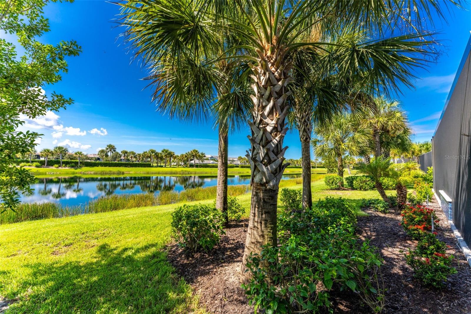 25043 GOLDEN FERN DR