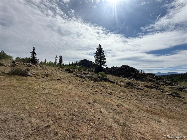 525 Swiggler Road