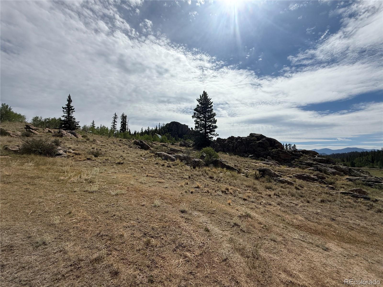 525 Swiggler Road