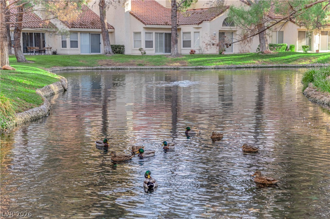 6940 Emerald Springs Lane