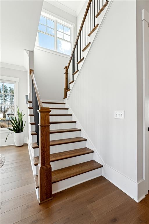 2937 Dansby Run