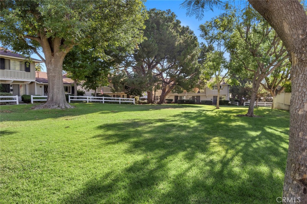 4537 Delancy Drive