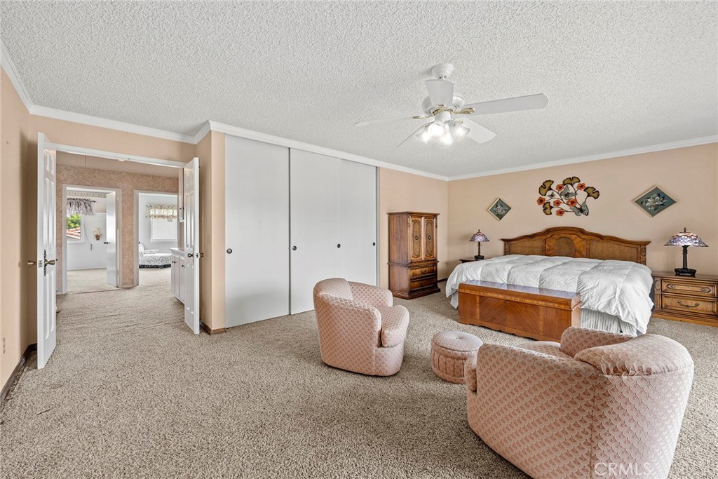 509 Vanderbilt Drive