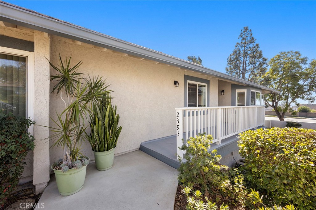 2393 Skyline Drive