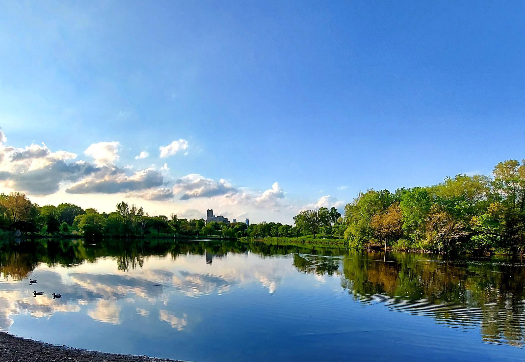 2929 Chicago Avenue Unit: 1102