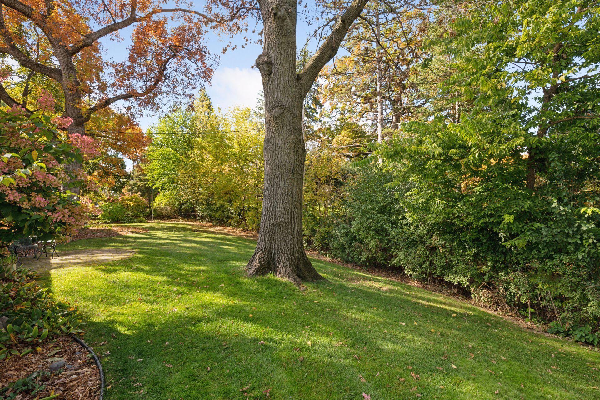 227 Ardmore Drive