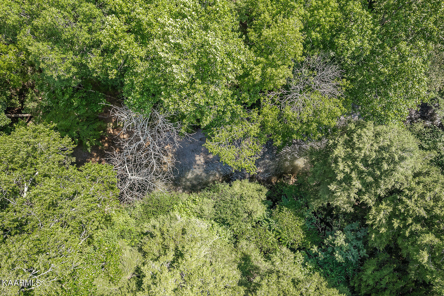 2175 Eagle Landing Dr Drive