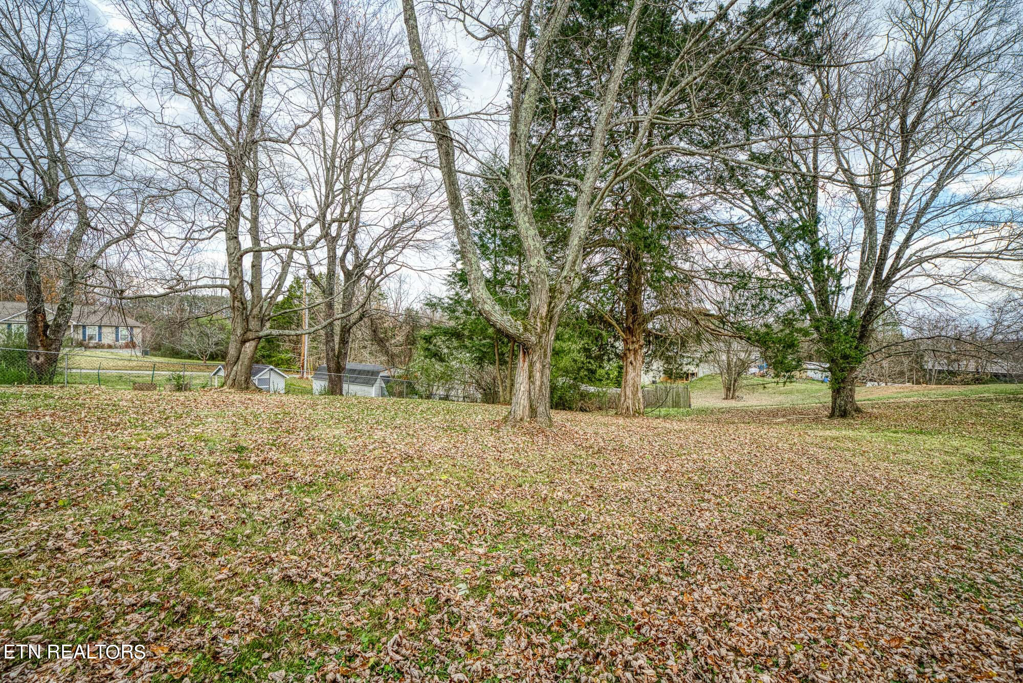 1670 White Rd