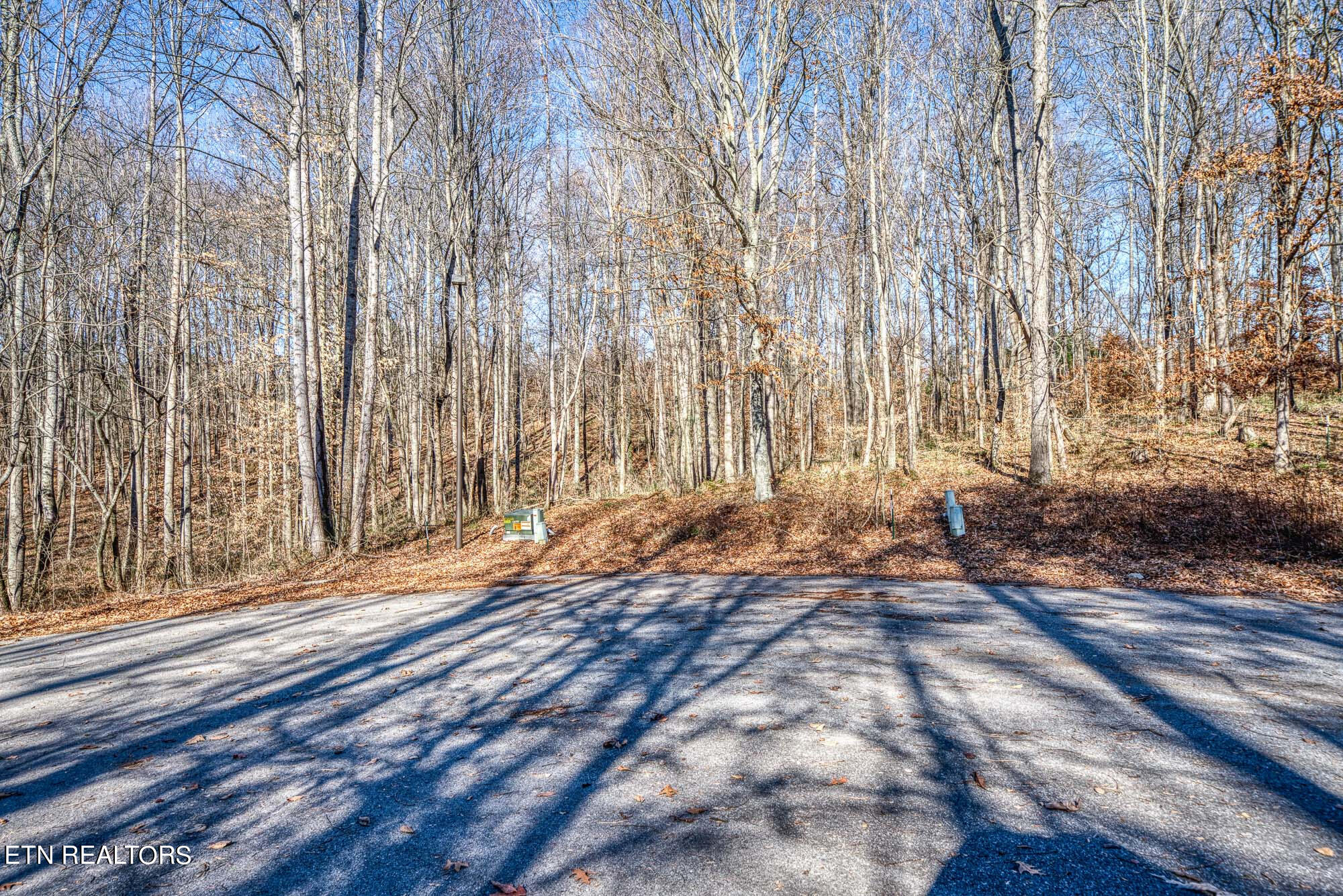 637 Ewell Dr