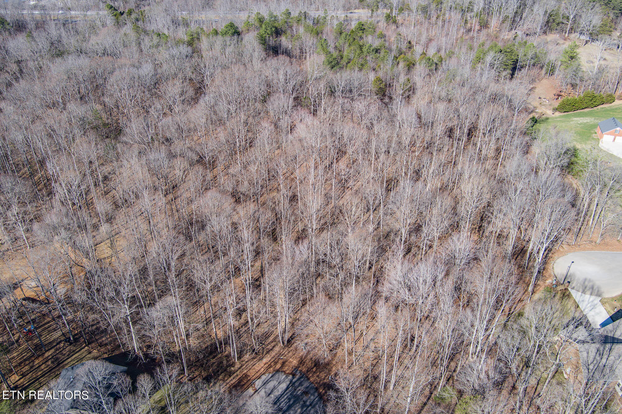 637 Ewell Dr