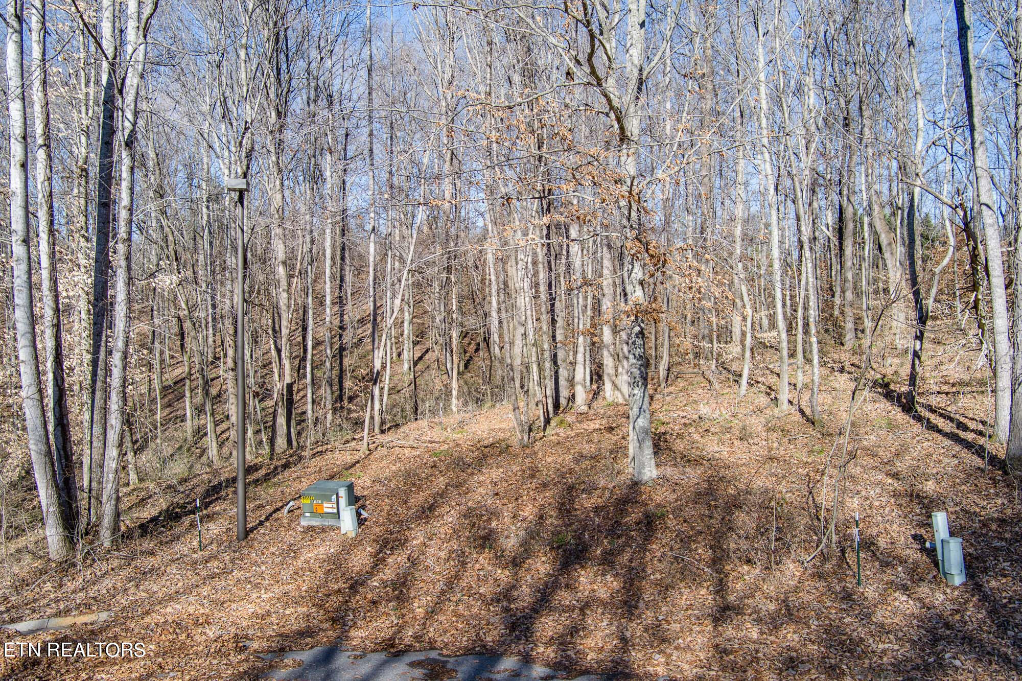 637 Ewell Dr