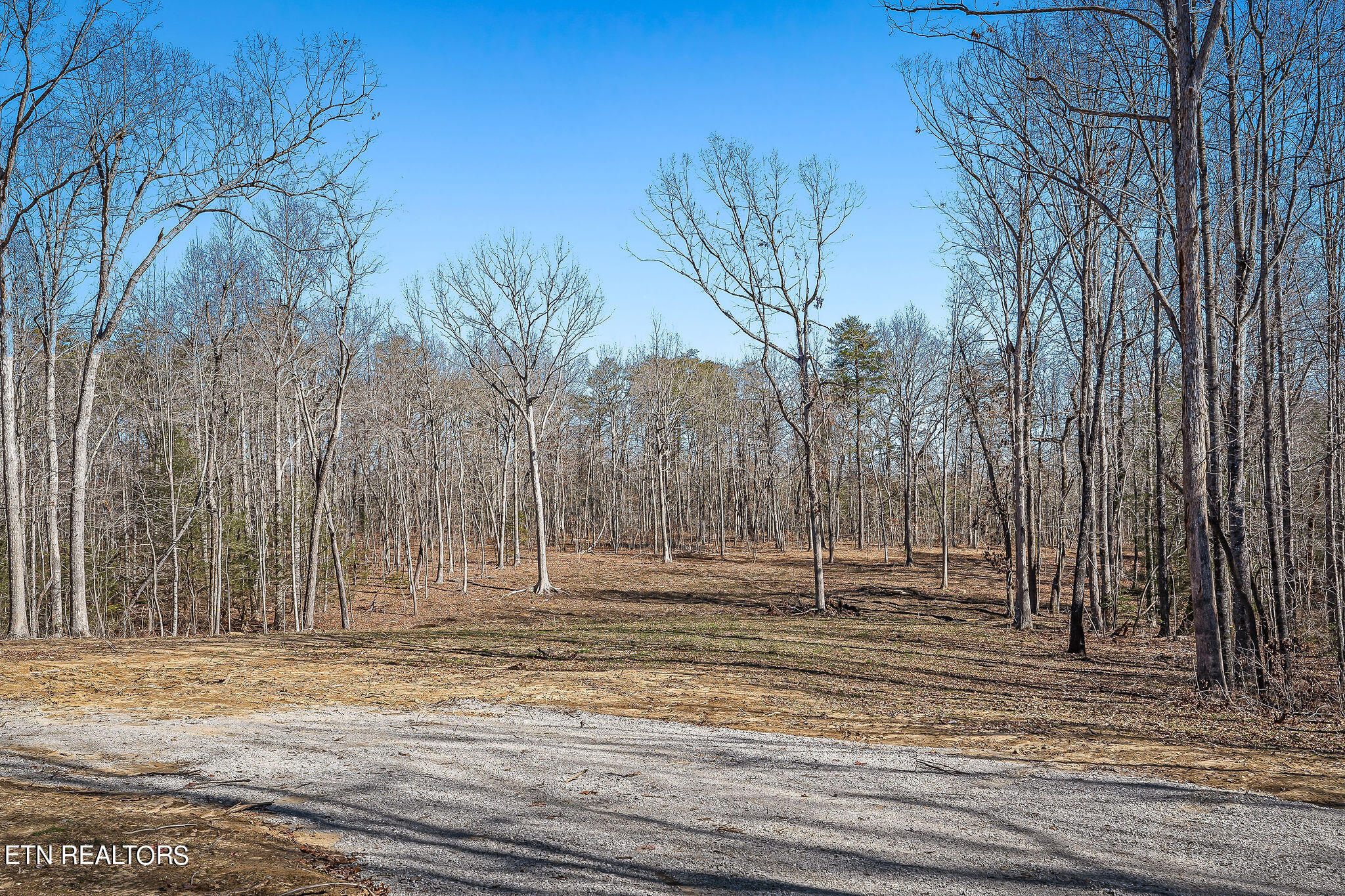 795 Clear Creak Parkway