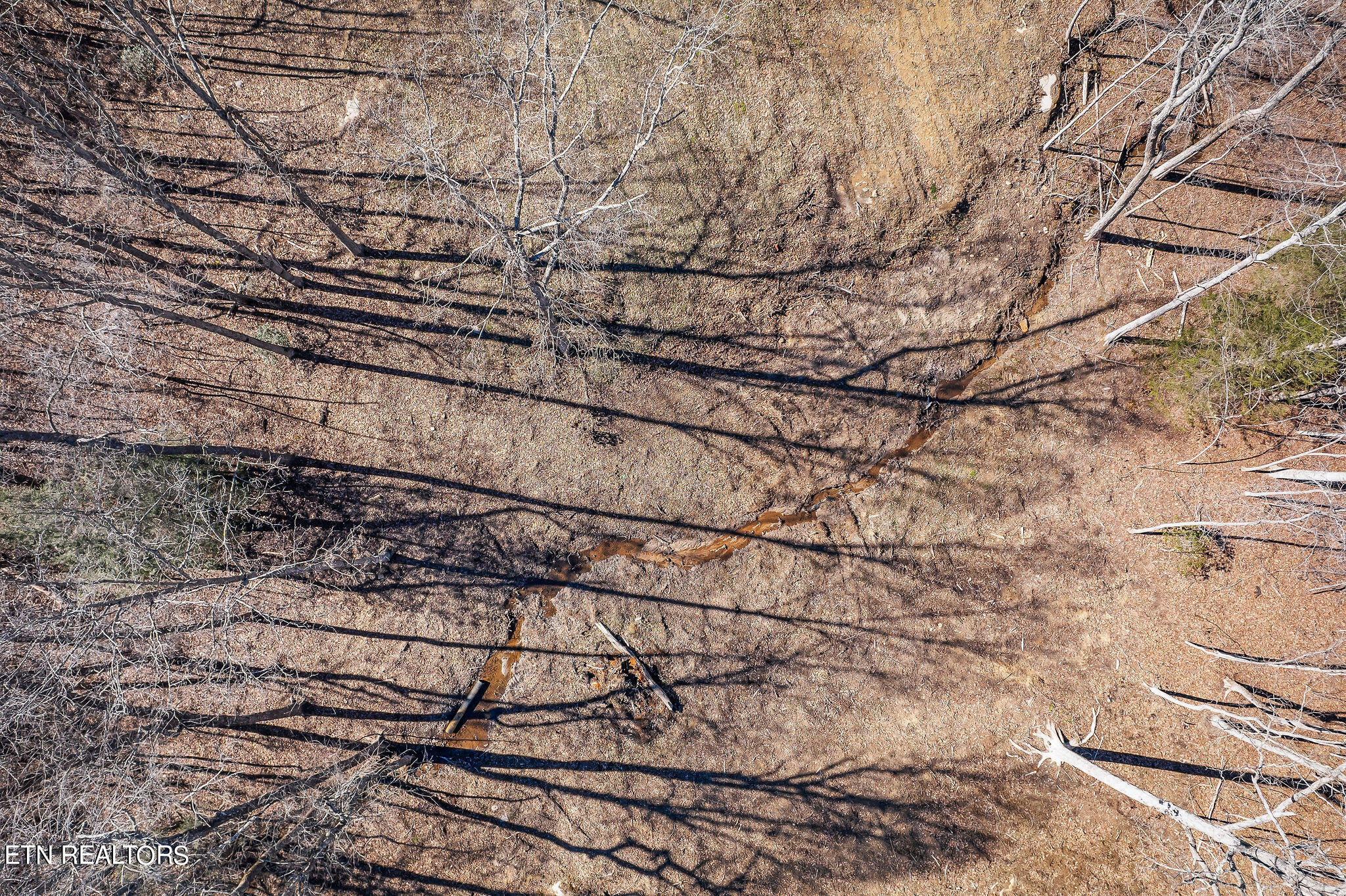 795 Clear Creak Parkway