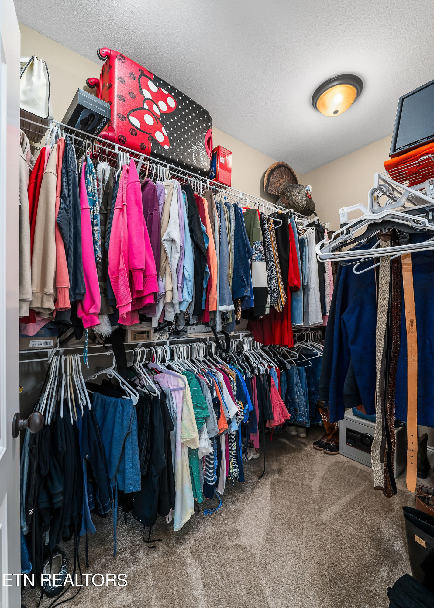 795 Clear Creak Parkway