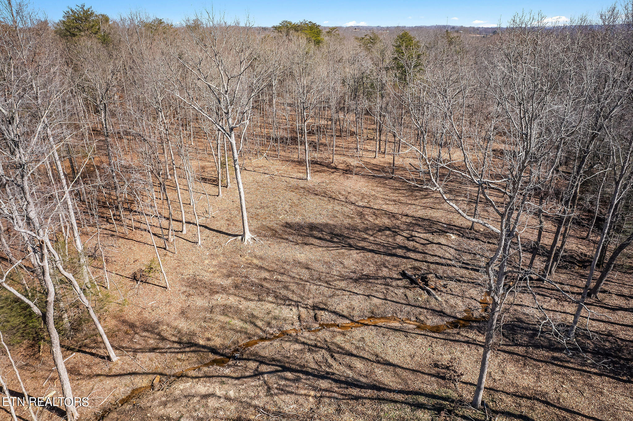 795 Clear Creak Parkway