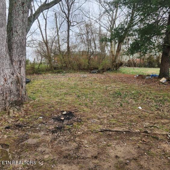 340 Polly Drive